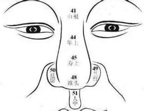 鼻子面相图解|鼻子面相算命图解 鼻相图解大全 